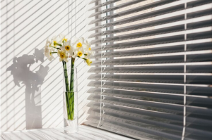 Shading Elegance: Exploring the Best Blinds in Solihull